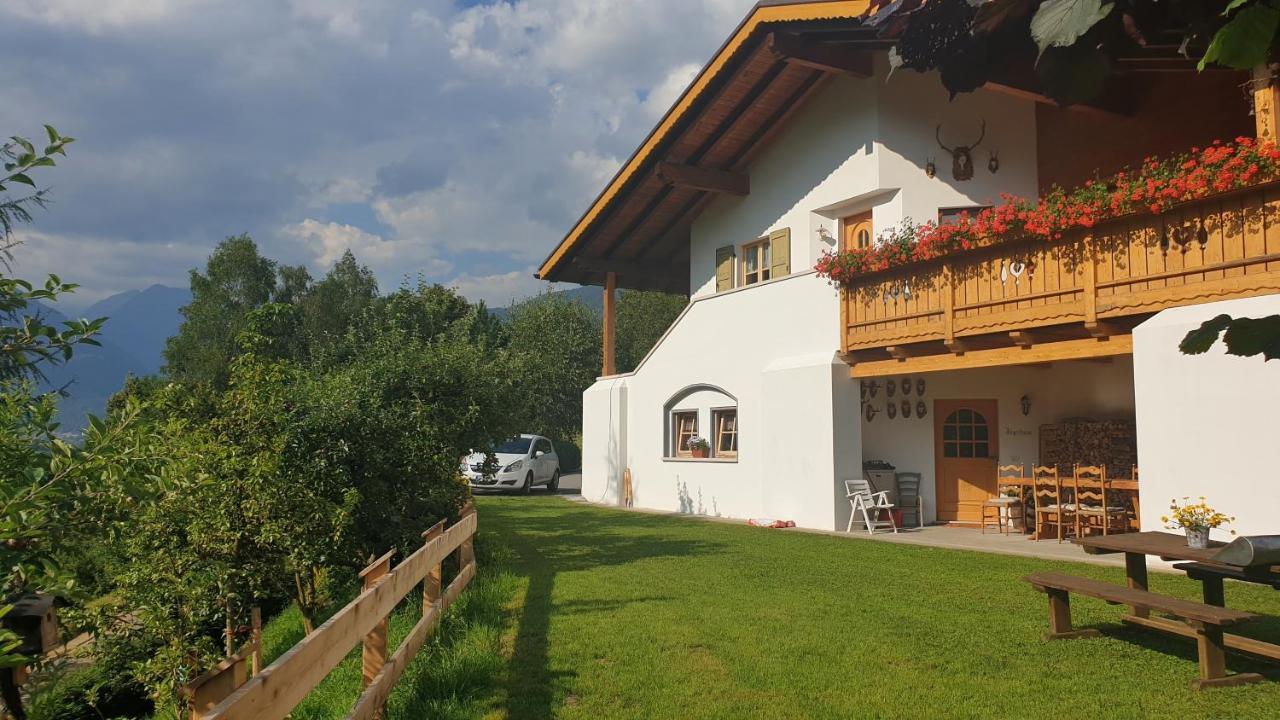 B&B Ai Larici Bocenago Bagian luar foto